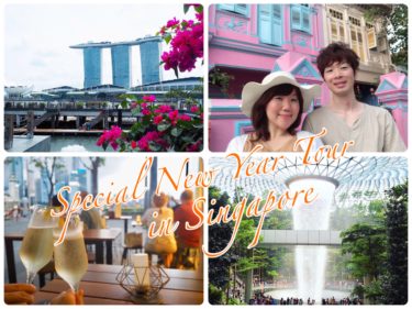 【2月1日(土)＆2日(日)】海外起業家夫婦の”2020年一気に人生ステージアップ！”新年シンガポール特別ツアー