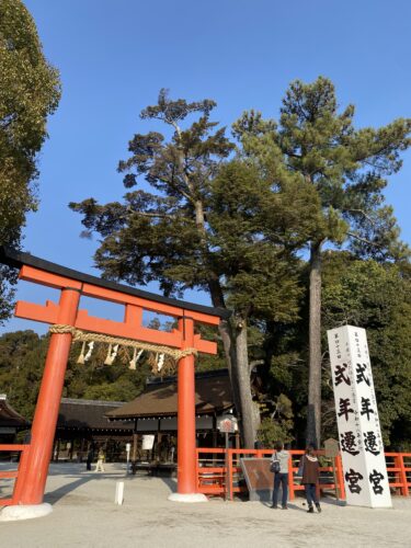 進まない店舗準備。辛くて仕方なかった2月。